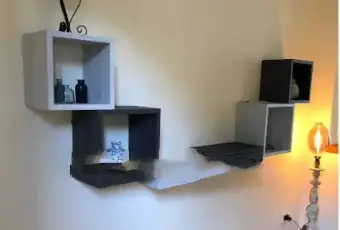 Rexer-Massarosa-Villa-bifamiliare-via-della-Migliana-Massarosa-Altro