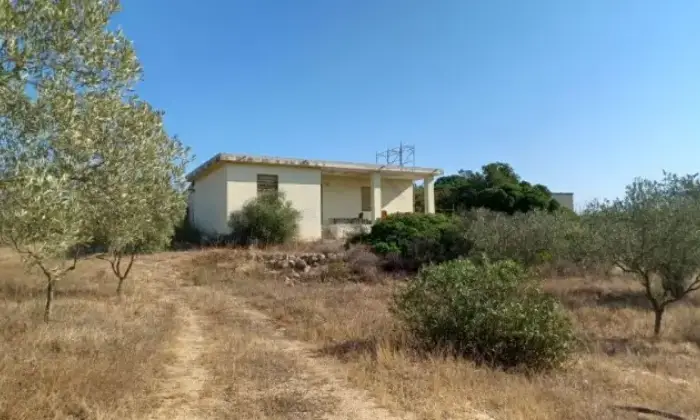 Rexer-Onifai-Sardegna-vicino-al-mare-Propriet-rustica-in-vendita-ad-Onifai-Terrazzo