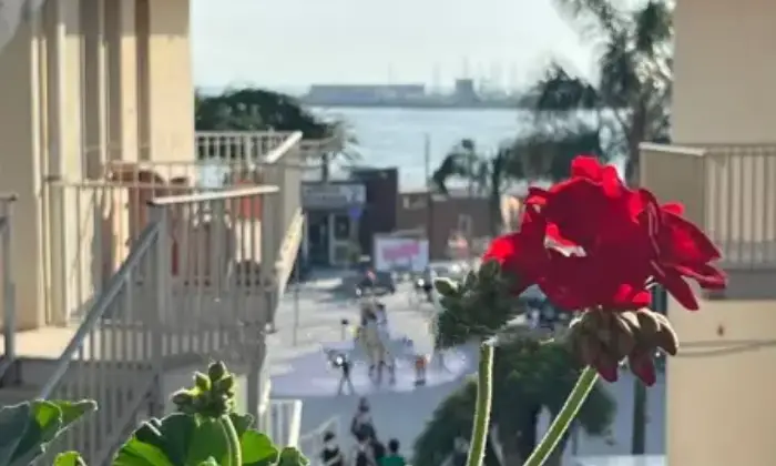 Rexer-Ragusa-Appartamento-ampio-in-vendita-a-Marina-di-Ragusa-Centro-Giardino