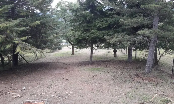 Rexer-Pieve-Torina-Vendo-Casa-indipendente-a-Pieve-TorinaLocalit-Tazza-Giardino