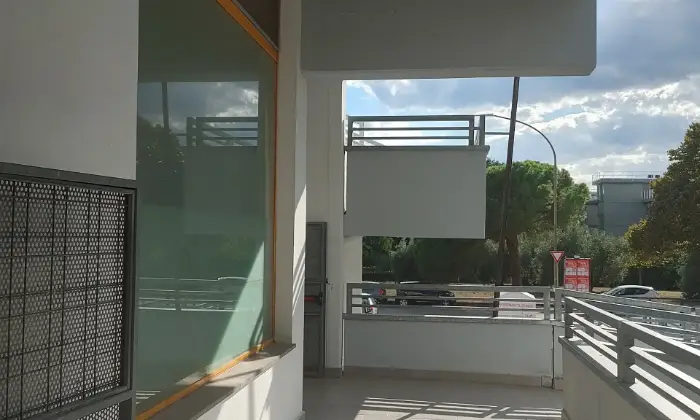 Rexer-Follonica-Vendo-immobile-Commerciale-a-Follonica-zona-Ovest-Altro