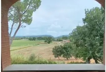 Rexer-Vinci-Casa-indipendente-in-vendita-in-via-Provinciale-di-Mercatale-Vinci-Giardino