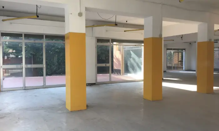Rexer-Rubiera-Negozio-Showroom-a-Rubiera-RE-Altro