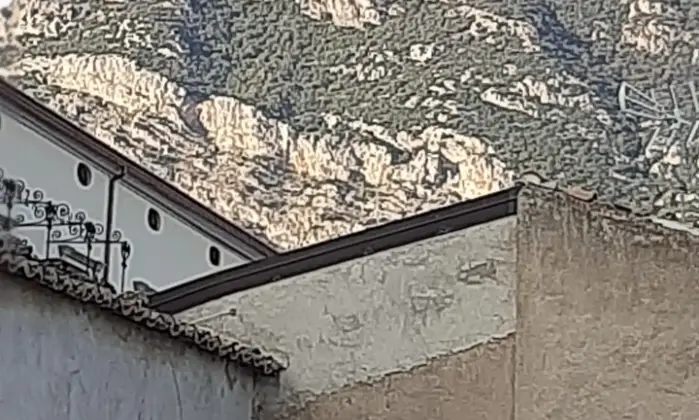 Rexer-Francavilla-Marittima-Casa-semiindipendente-ottima-per-le-vacanze-estive-e-invernali-Altro