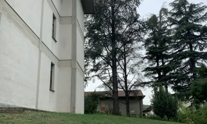 Rexer-Castel-Focognano-Luminoso-appartamento-Giardino