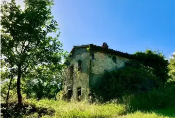 Rexer-Giuliano-di-Roma-Vendesi-rustico-in-Via-la-Danna-a-Giuliano-di-Roma-Terrazzo