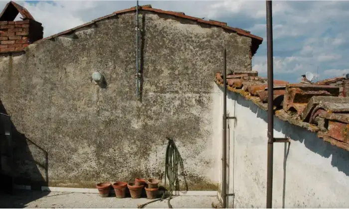 Rexer-Asciano-Due-appartamenti-sullinterno-piano-in-vendita-ad-Asciano-SI-Terrazzo