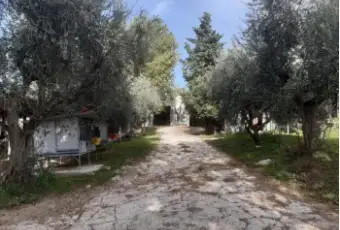 Rexer-Monte-Roberto-Casalecascina-in-vendita-in-via-Fossato-Giardino