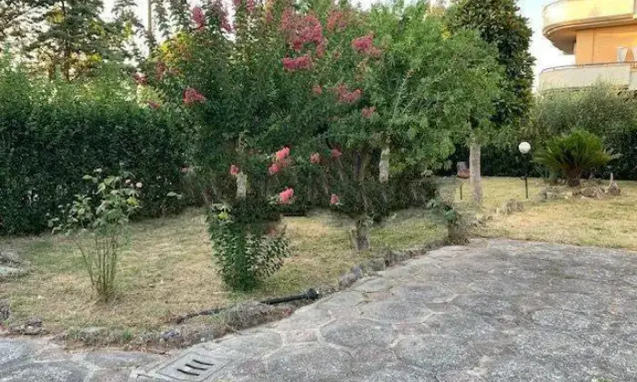 Rexer-Latina-Villa-unifamiliare-via-Corioli-Montello-Ferriere-Latina-Giardino