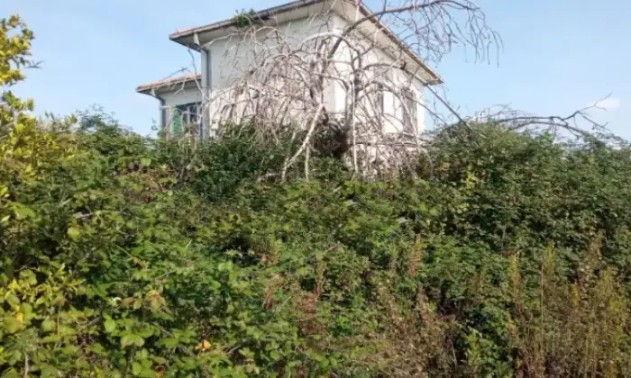 Rexer-Fondi-Propriet-rustica-in-vendita-in-via-Portaturo-Terrazzo