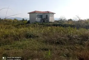 Rexer-Fondi-Propriet-rustica-in-vendita-in-via-Portaturo-Terrazzo