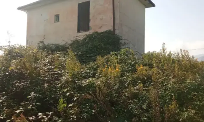 Rexer-Fondi-Propriet-rustica-in-vendita-in-via-Portaturo-Giardino
