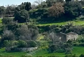 Rexer-Noto-Rustico-Casale-con-terreno-Terrazzo