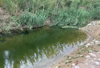Rexer-Noto-Rustico-Casale-con-terreno-Terrazzo