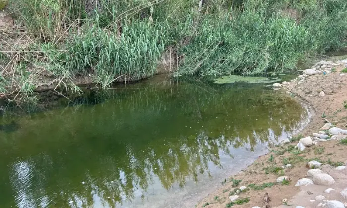 Rexer-Noto-Rustico-Casale-con-terreno-Terrazzo