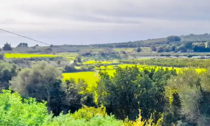 Rexer-Noto-Rustico-Casale-con-terreno-Terrazzo