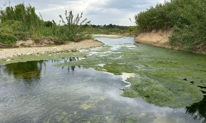 Rexer-Noto-Rustico-Casale-con-terreno-Terrazzo