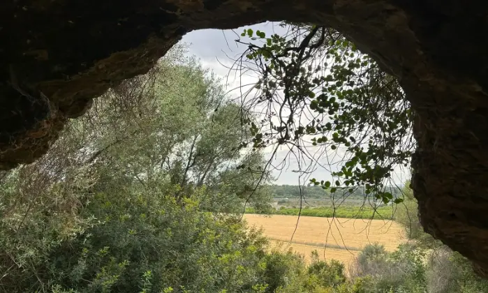 Rexer-Noto-Rustico-Casale-con-terreno-Terrazzo