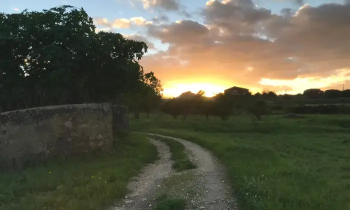 Rexer-Noto-Rustico-Casale-con-terreno-Terrazzo