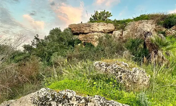 Rexer-Noto-Rustico-Casale-con-terreno-Terrazzo