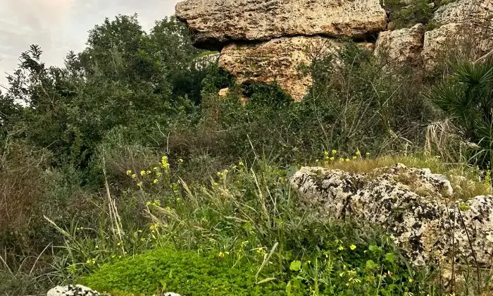 Rexer-Noto-Rustico-Casale-con-terreno-Terrazzo