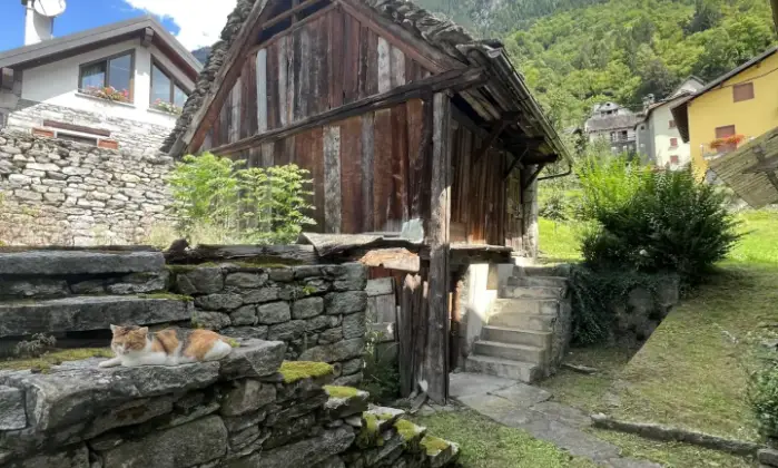 Rexer-Baceno-Splendida-casa-del-con-terreno-Terrazzo