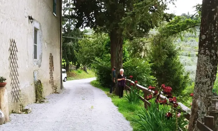 Rexer-Cavriglia-Rustico-Casale-in-Vendita-in-Montegonzi-Giardino