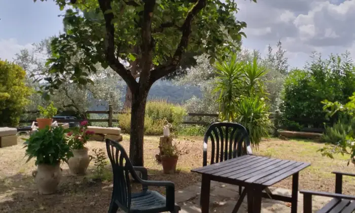 Rexer-Cavriglia-Rustico-Casale-in-Vendita-in-Montegonzi-Giardino