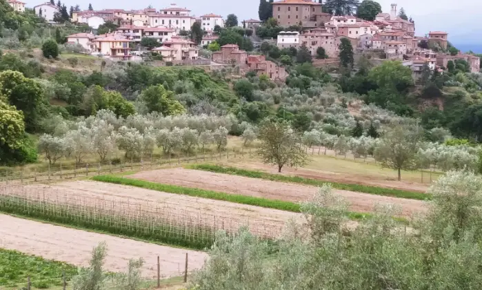 Rexer-Cavriglia-Rustico-Casale-in-Vendita-in-Montegonzi-Giardino