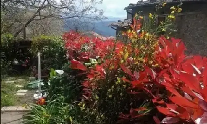 Rexer-Villa-Basilica-Terratetto-con-giardino-bosco-orto-in-vendita-VILLA-BASILICA-LU-Giardino