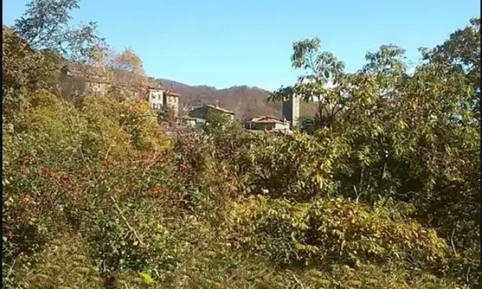 Rexer-Villa-Basilica-Terratetto-con-giardino-bosco-orto-in-vendita-VILLA-BASILICA-LU-Giardino
