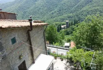 Rexer-Villa-Basilica-Terratetto-con-giardino-bosco-orto-in-vendita-VILLA-BASILICA-LU-Giardino