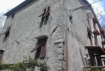 Rexer-Villa-Basilica-Terratetto-con-giardino-bosco-orto-in-vendita-VILLA-BASILICA-LU-Giardino