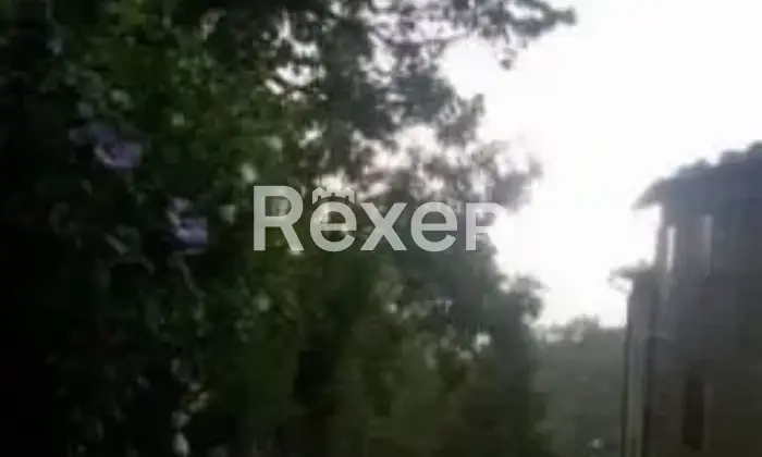 Rexer-Villa-Basilica-Terratetto-con-giardino-bosco-orto-in-vendita-VILLA-BASILICA-LU-Altro