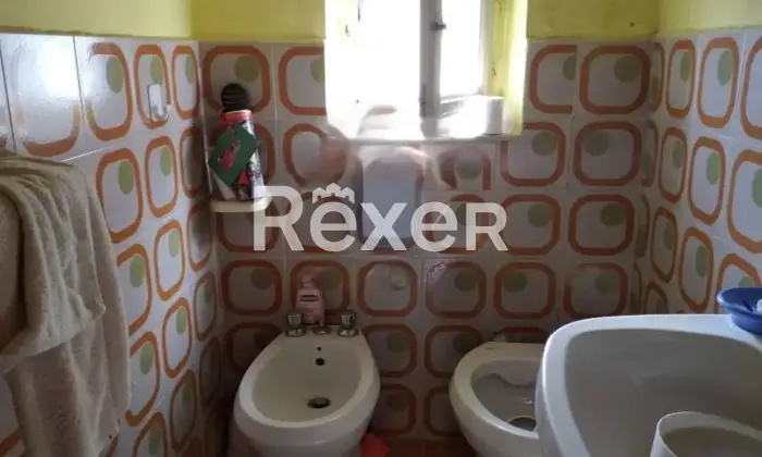 Rexer-Villa-Basilica-Terratetto-con-giardino-bosco-orto-in-vendita-VILLA-BASILICA-LU-Altro