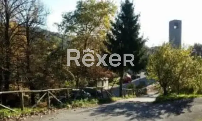 Rexer-Villa-Basilica-Terratetto-con-giardino-bosco-orto-in-vendita-VILLA-BASILICA-LU-Altro