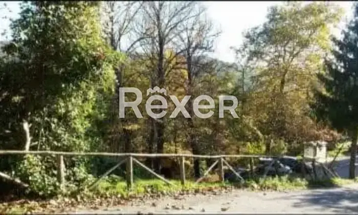 Rexer-Villa-Basilica-Terratetto-con-giardino-bosco-orto-in-vendita-VILLA-BASILICA-LU-Altro