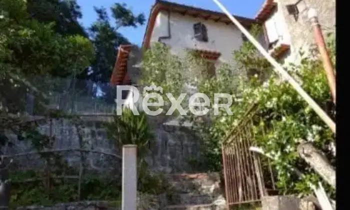 Rexer-Villa-Basilica-Terratetto-con-giardino-bosco-orto-in-vendita-VILLA-BASILICA-LU-Altro