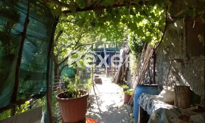 Rexer-Villa-Basilica-Terratetto-con-giardino-bosco-orto-in-vendita-VILLA-BASILICA-LU-Altro