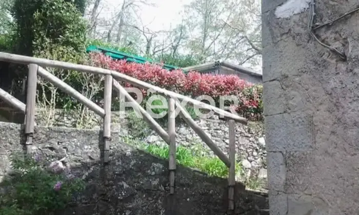 Rexer-Villa-Basilica-Terratetto-con-giardino-bosco-orto-in-vendita-VILLA-BASILICA-LU-Altro