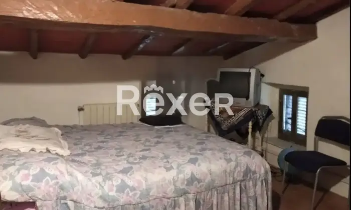 Rexer-Villa-Basilica-Terratetto-con-giardino-bosco-orto-in-vendita-VILLA-BASILICA-LU-Altro