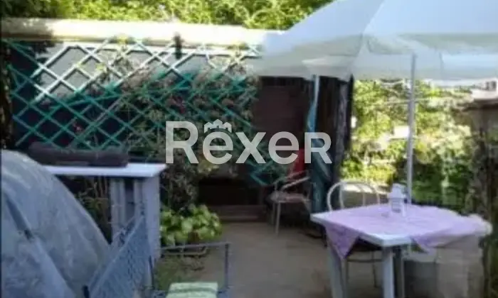Rexer-Villa-Basilica-Terratetto-con-giardino-bosco-orto-in-vendita-VILLA-BASILICA-LU-Altro