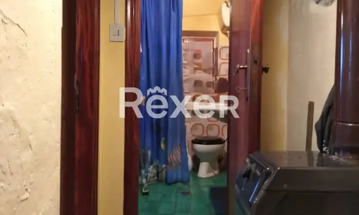 Rexer-Villa-Basilica-Terratetto-con-giardino-bosco-orto-in-vendita-VILLA-BASILICA-LU-Altro