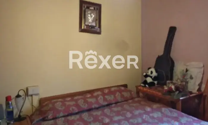 Rexer-Villa-Basilica-Terratetto-con-giardino-bosco-orto-in-vendita-VILLA-BASILICA-LU-Altro