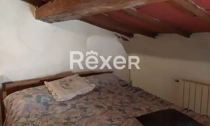 Rexer-Villa-Basilica-Terratetto-con-giardino-bosco-orto-in-vendita-VILLA-BASILICA-LU-Altro