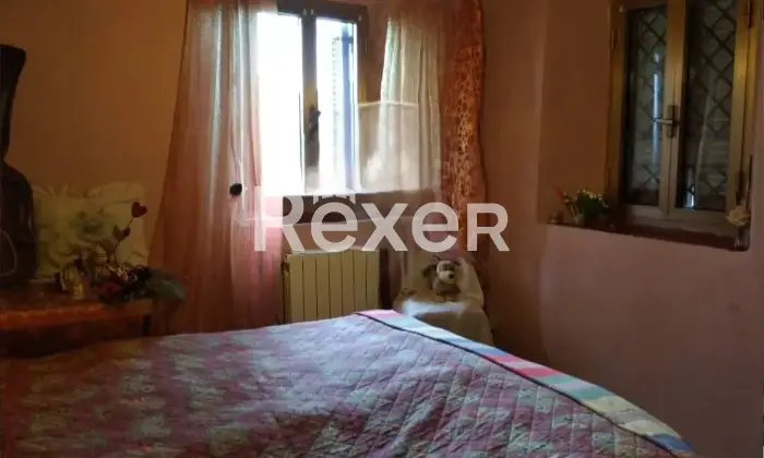 Rexer-Villa-Basilica-Terratetto-con-giardino-bosco-orto-in-vendita-VILLA-BASILICA-LU-Altro