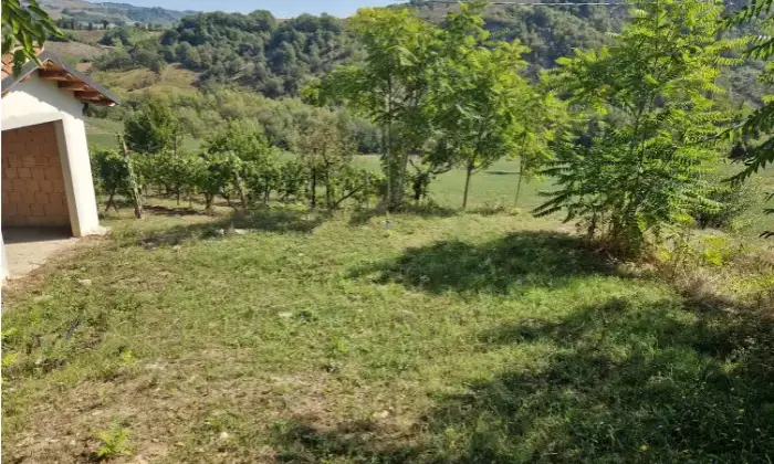 Rexer-Sarsina-Casalecascina-in-vendita-in-strada-provinciale-SantAgata-Feltria-Terrazzo