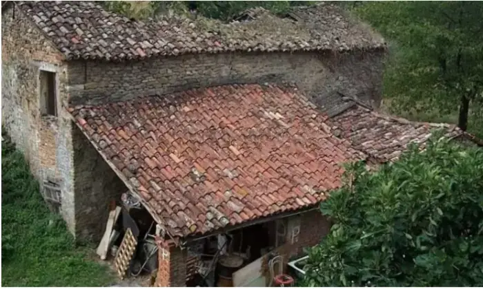 Rexer-Mercato-Saraceno-Vendesi-Terreno-edificabile-con-Rudere-in-via-Colonnata-a-Mercato-Saraceno-Terrazzo
