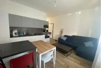 Rexer-Campiglia-Marittima-Quadrilocale-in-vendita-in-via-Quarto-Campiglia-Marittima-Altro