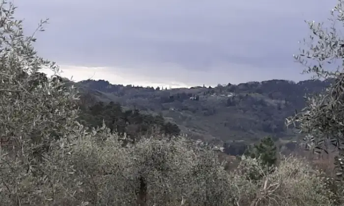 Rexer-Camaiore-Casalecascina-in-vendita-in-via-dei-Bianchini-Terrazzo